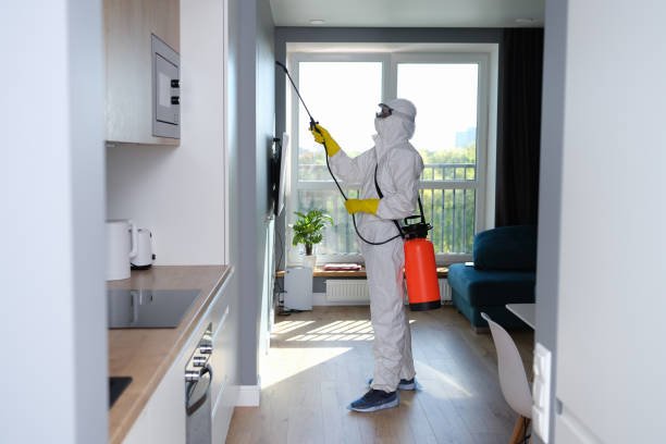 The Science Behind Effective Pest Treatment in Residential Properties